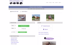 DreamHorse.com