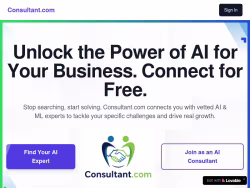 Consultant