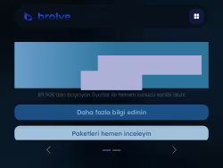 Brolve