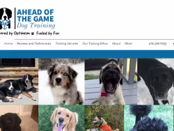 Atgdogtraining
