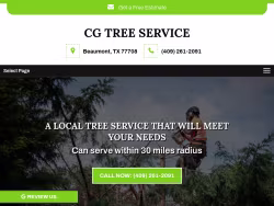Cgtreeservice-tx