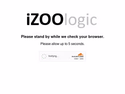 Izoologic