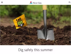 Nicorgas