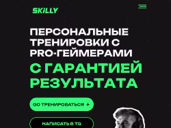 Skilly-training