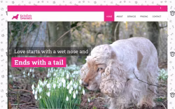Exclusively Spaniels