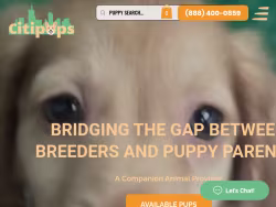 Citipups