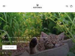 Artemiscompany
