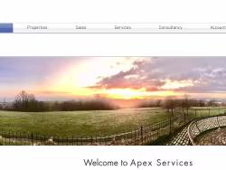 Apexservices