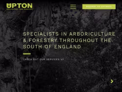 Treesurgerydorset