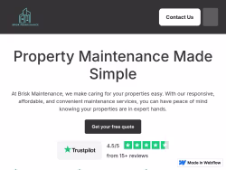Briskmaintenance logo
