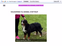 Kennelstoettrup