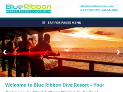 Blueribbondivers