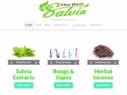 Thebestsalvia
