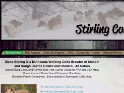 Stirlingcollies