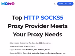Momoproxy