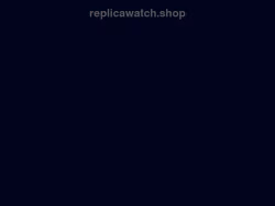 Replicawatch