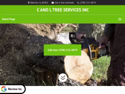 Candltreesvcs