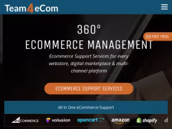 Team4ecom