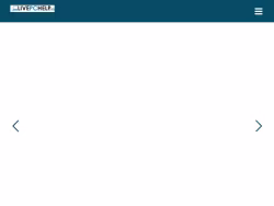 Livepchelp
