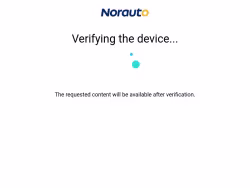 Norauto