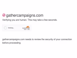 Gathercampaigns