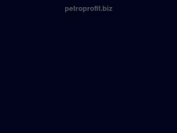 Petroprofit