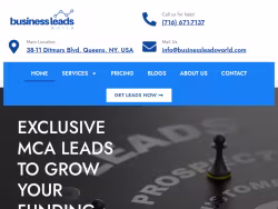 Businessleadsworld