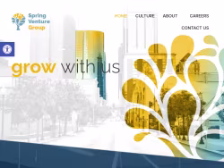 Springventuregroup