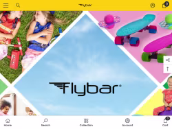 Flybar