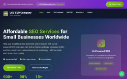 LSB SEO Company