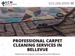 Bellevuecarpetcleaningwa