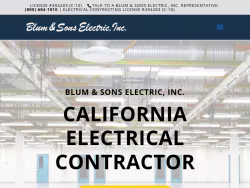 Blumelectric