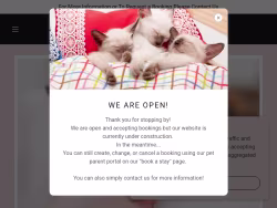 Staykittystay