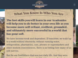 Thelostskillsacademy logo