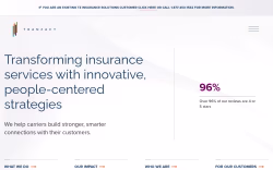 Tzinsurance
