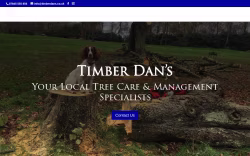 Timberdans