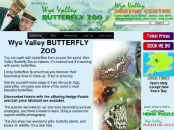 Butterflyzoo
