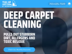 Arlingtoncarpetcleaningva