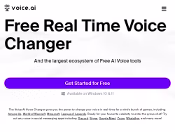 Voice