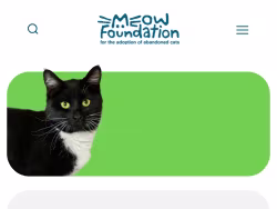Meowfoundation