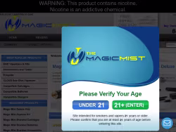 Themagicmist