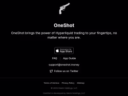Oneshot
