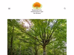 Treesvcbristolct