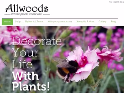 Allwoods