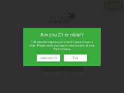 Flyhi