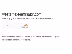 Westernexterminator