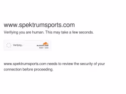 Spektrumsports