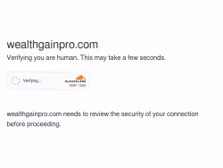 Wealthgainpro