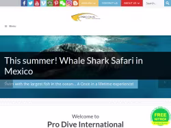 Prodiveinternational