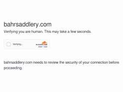 Bahrsaddlery